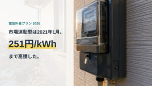 市場連動型は2021年1月に251円/kWhまで高騰した